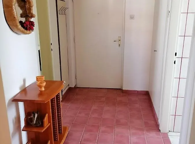 Bolf Novigrad Istria