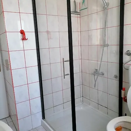 Bolf * Novigrad (Istria)