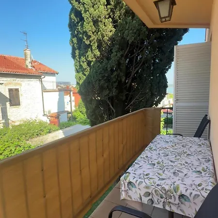 Bolf * Novigrad Istria