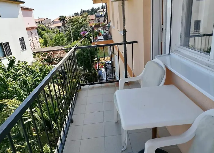 Bolf Novigrad Istria